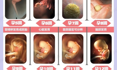 滋肾丸长期吃会伤肝吗-女人吃滋肾丸禁忌什么网 - 网站提供滋肾丸有副作用吗小常识、滋肾丸一般吃多长时间